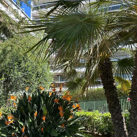 Panoramic Sea View With Pool 4ppl - Juan Les Pins